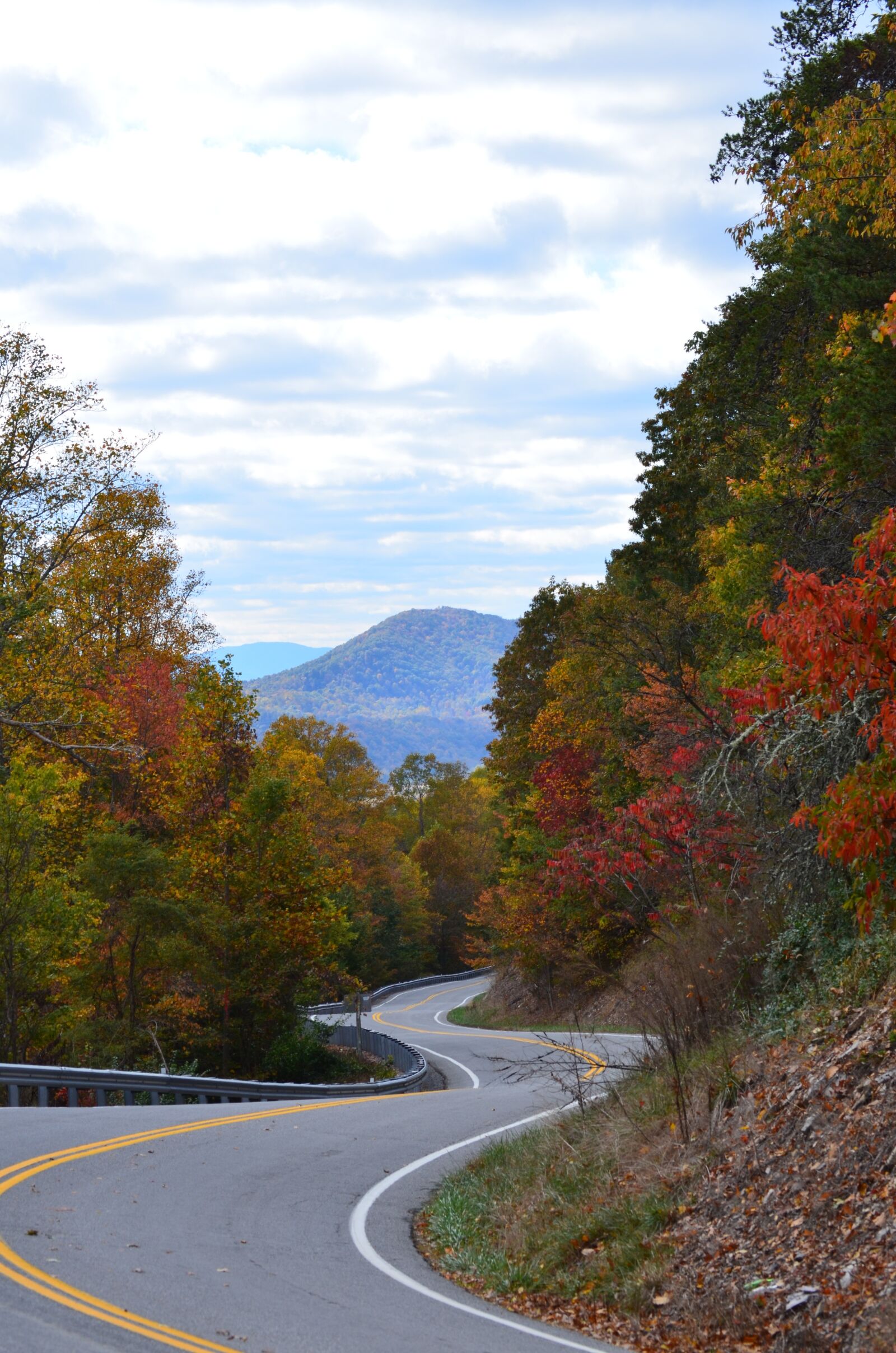 Nikon D5100 sample photo. Road, mountain, highway photography