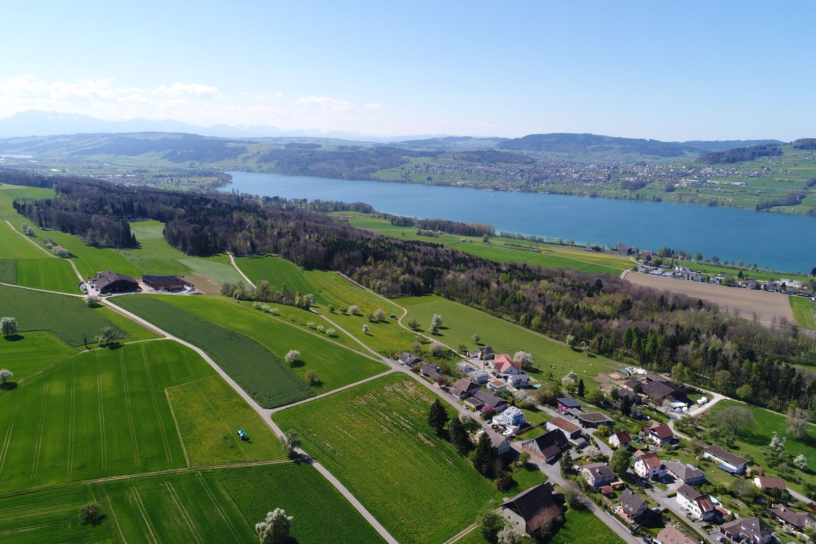 DJI FC6310 sample photo. Halwilersee, lake, aerial view photography