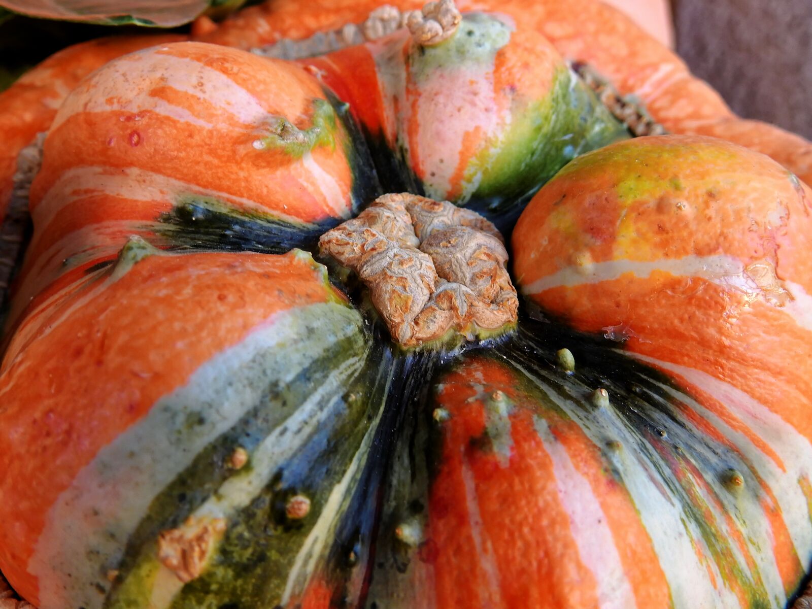 Nikon Coolpix P900 sample photo. Pumpkin, gourd, autumn photography