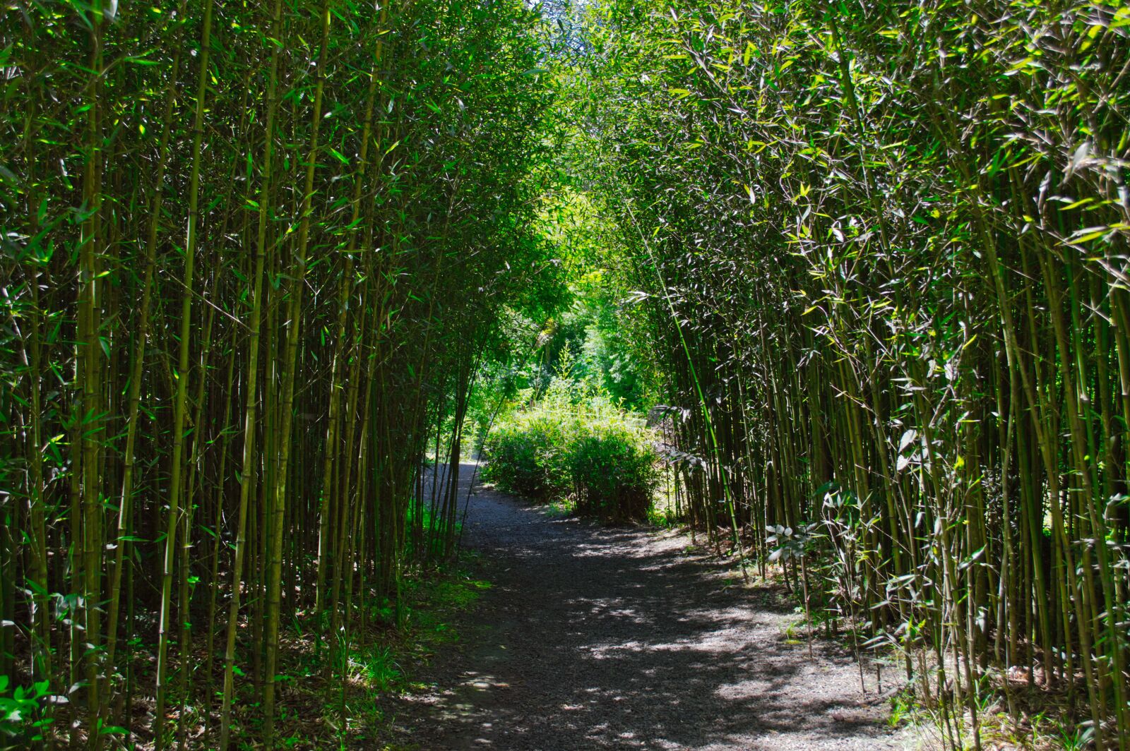 Nikon D3200 sample photo. Cartago, costa rica, way photography