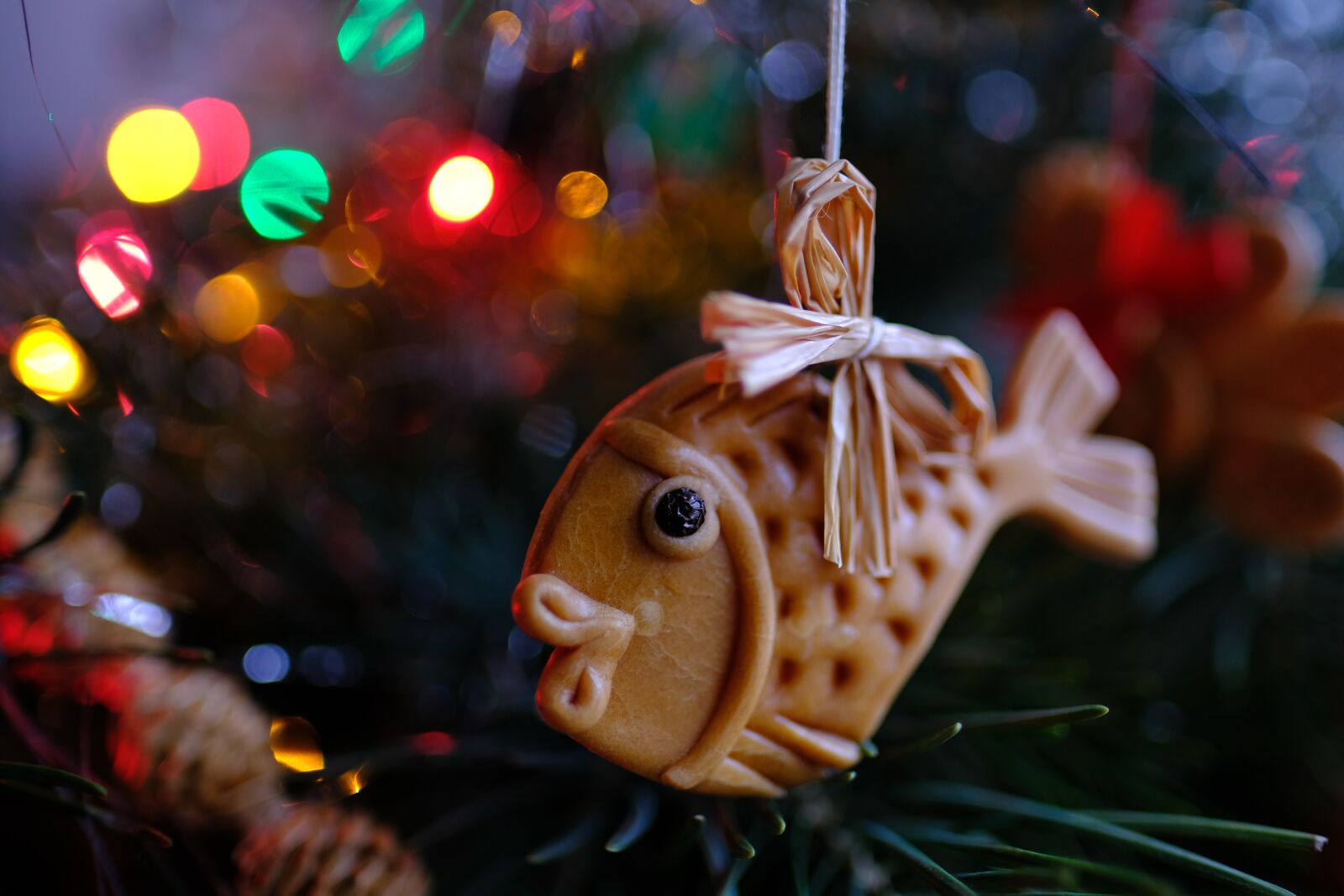 Fujifilm XF 16mm F1.4 R WR sample photo. Trappings, christmas decorations, christmas photography