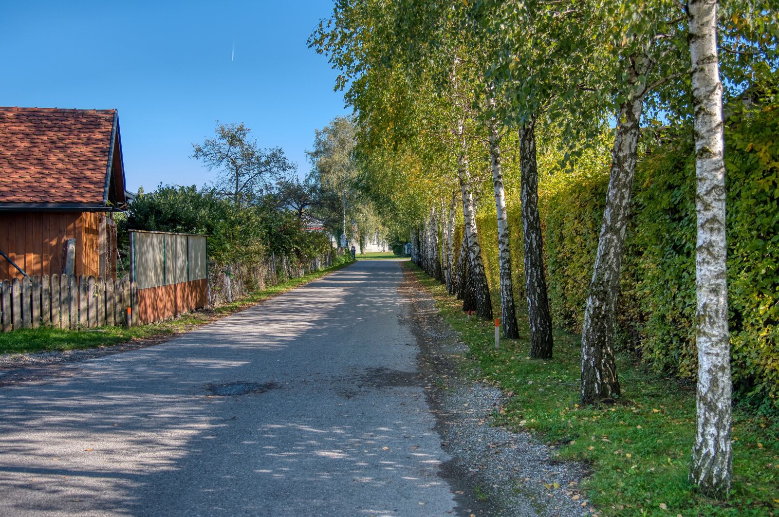 Nikon D750 sample photo. Road, away, wayside photography