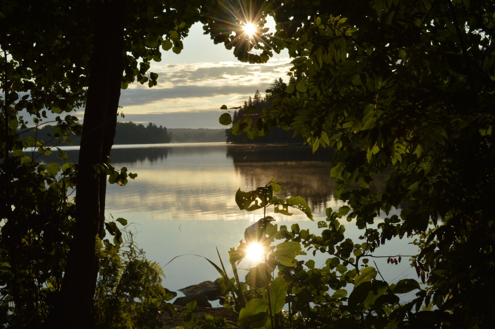 Nikon D3200 sample photo. Tampere, nature, summer photography