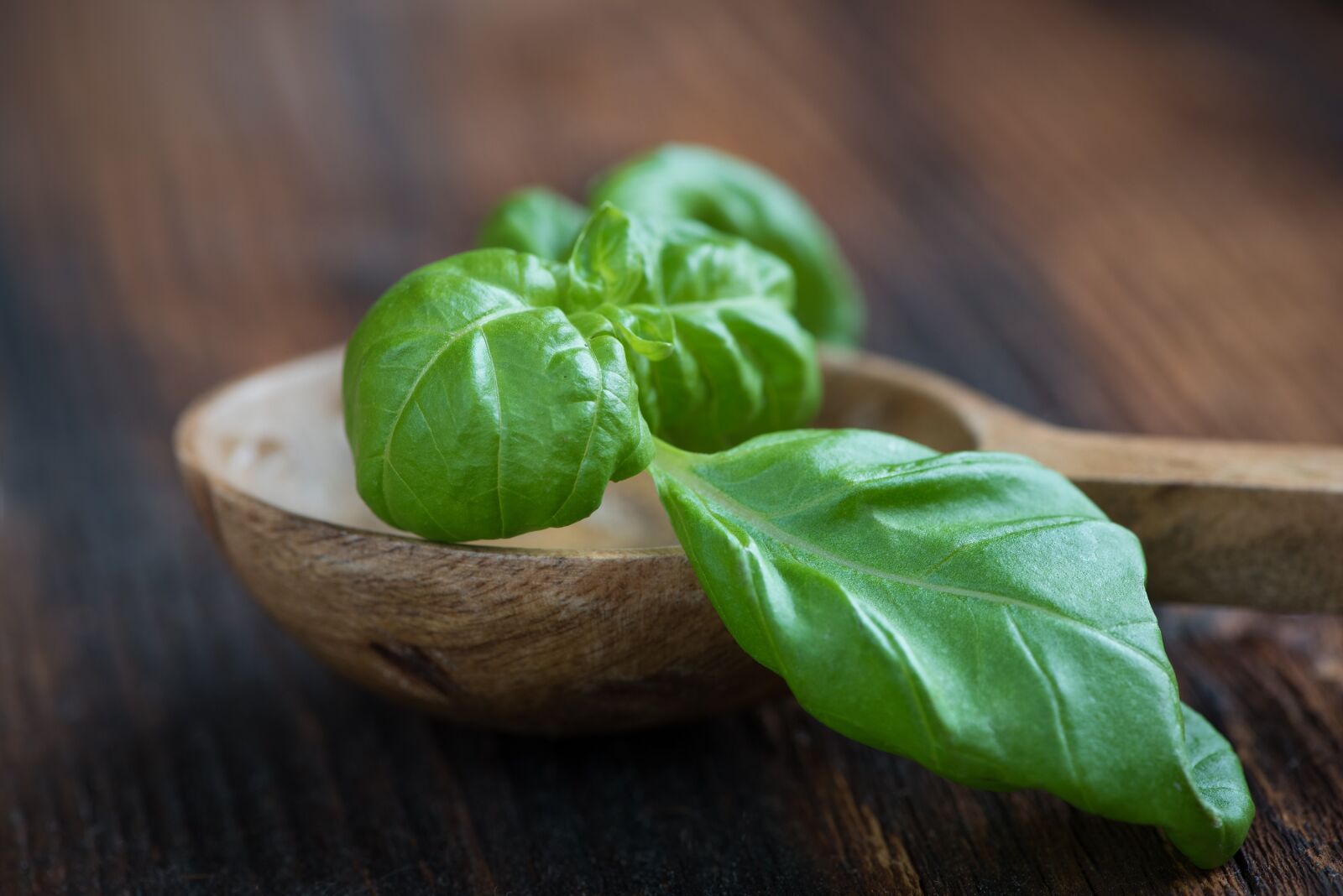 Nikon D750 sample photo. Basil, green, fresh photography