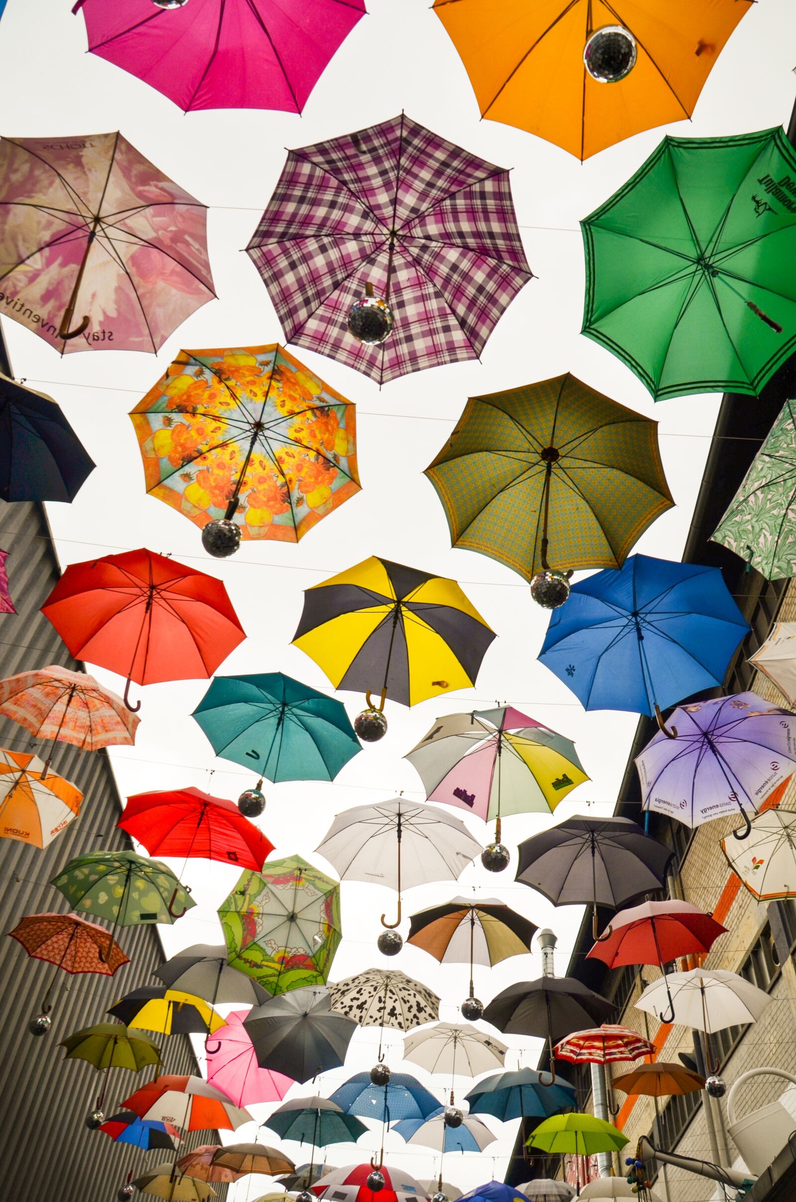 Nikon D7000 sample photo. Umbrella, protection, parasol photography