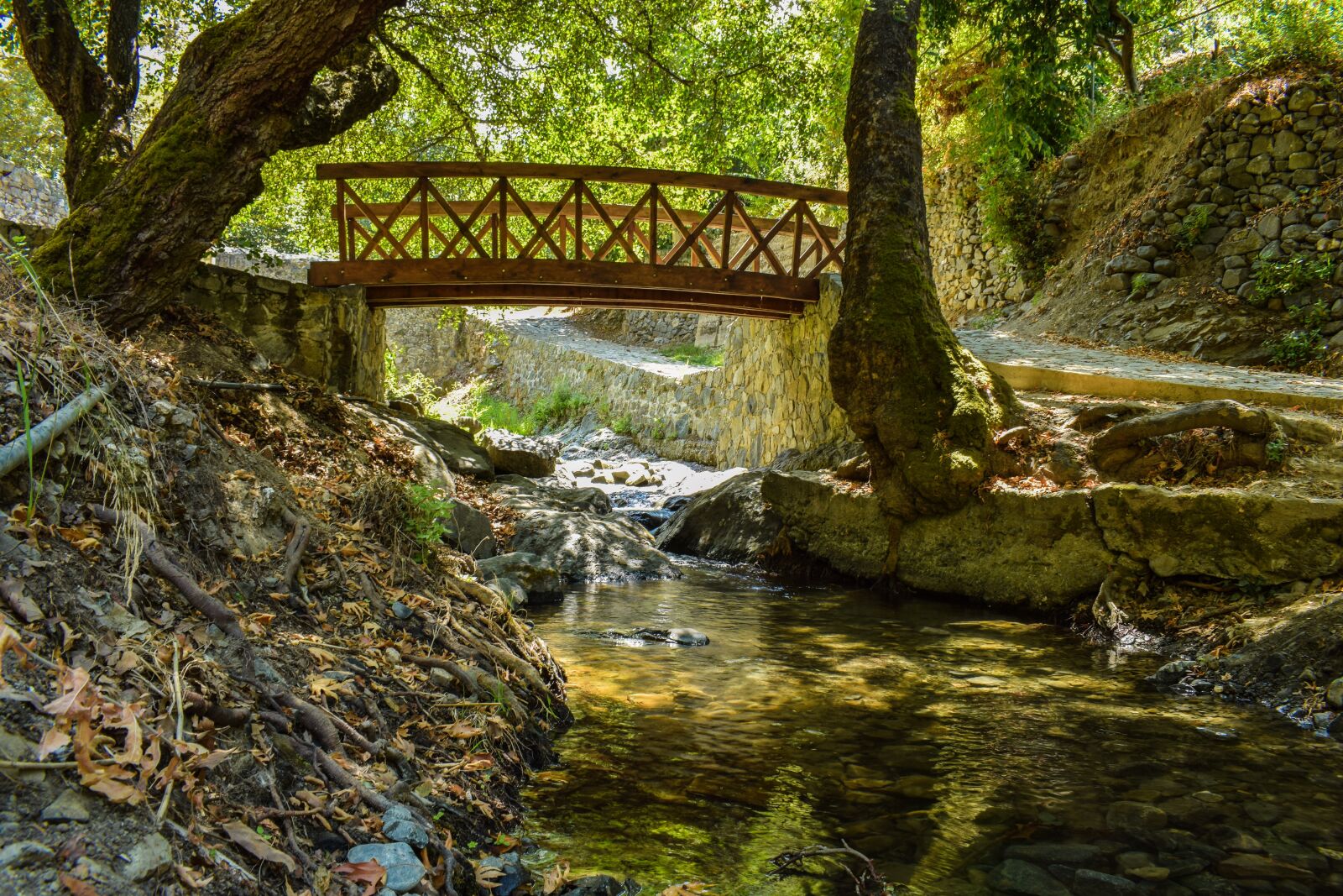 Nikon D3300 sample photo. Bridge, wooden, river photography