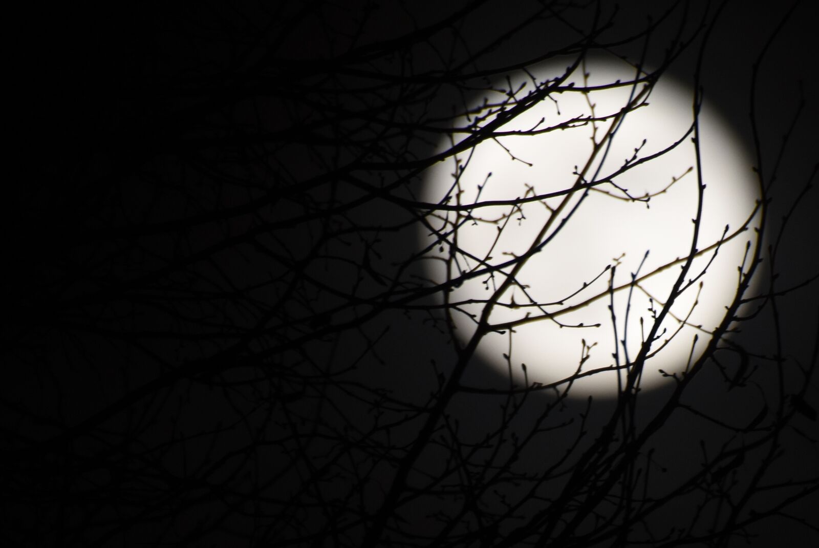 Nikon D7200 sample photo. Moon, full moon, night photography
