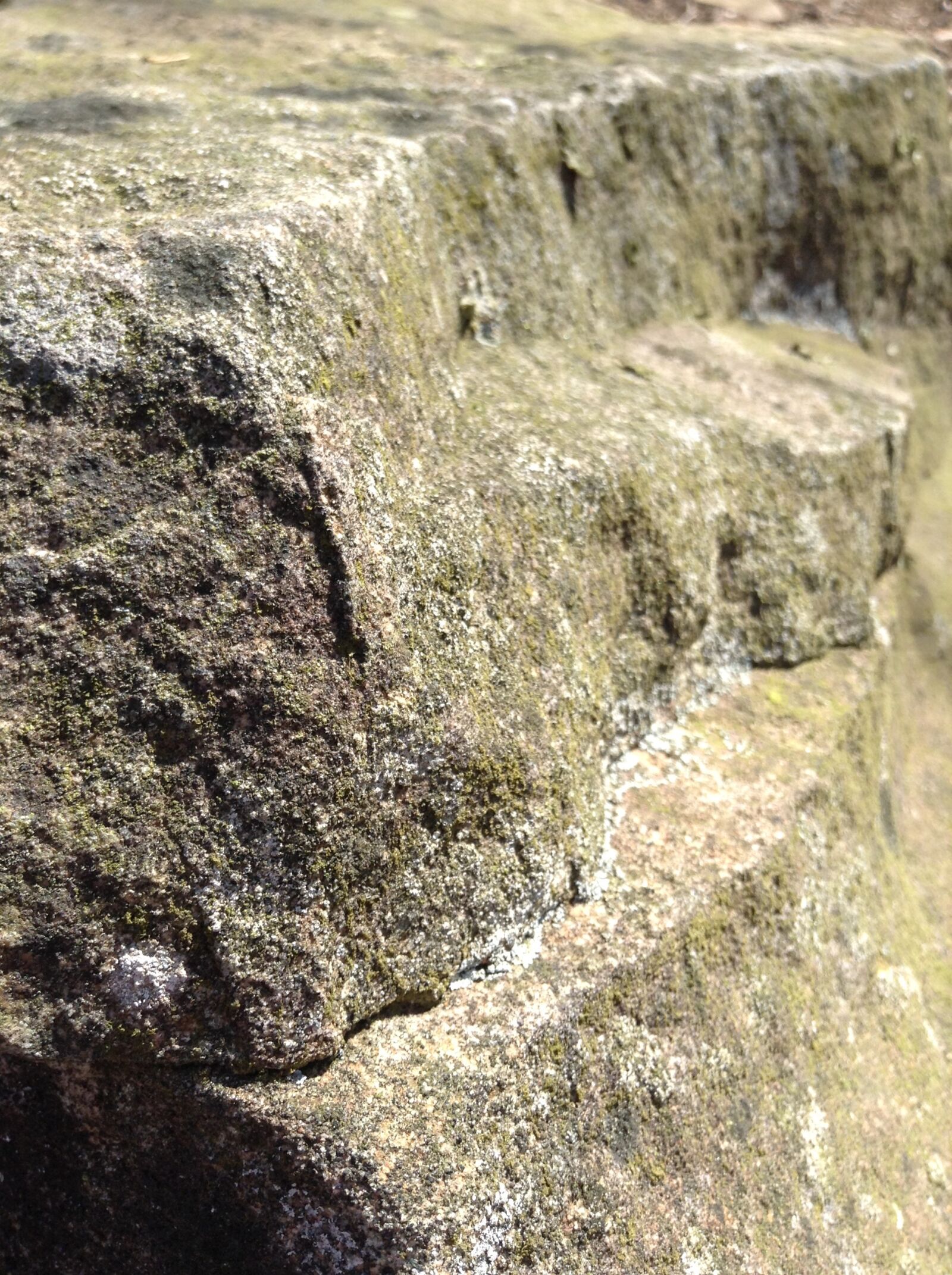 Apple iPod touch sample photo. Rock, close up, stone photography