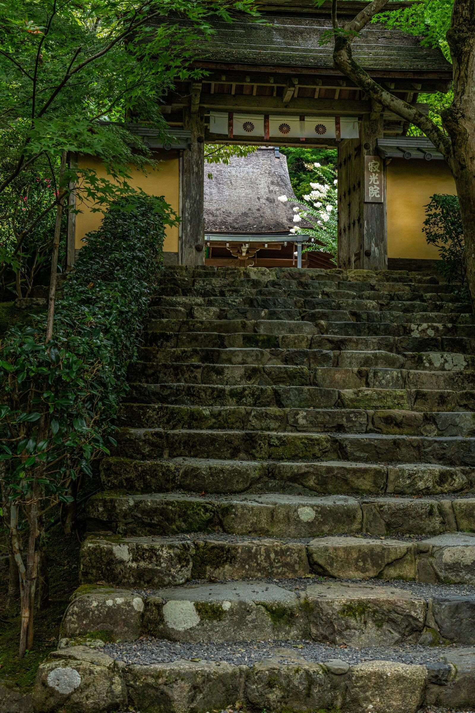 Sony a7R IV sample photo. Building, temple entrance, stairs photography