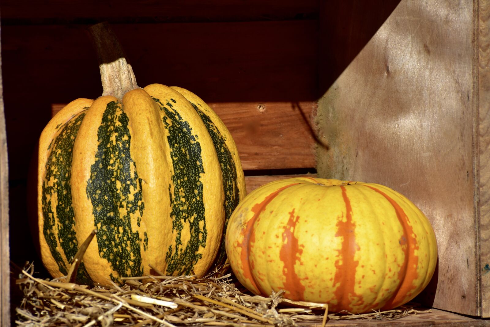 Nikon D3400 sample photo. Squash, pumpkin, hay photography