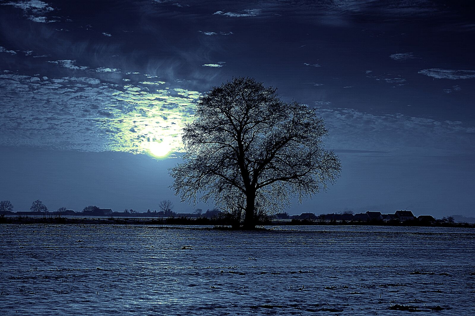 Pentax K-S2 sample photo. Tree, night, moon photography