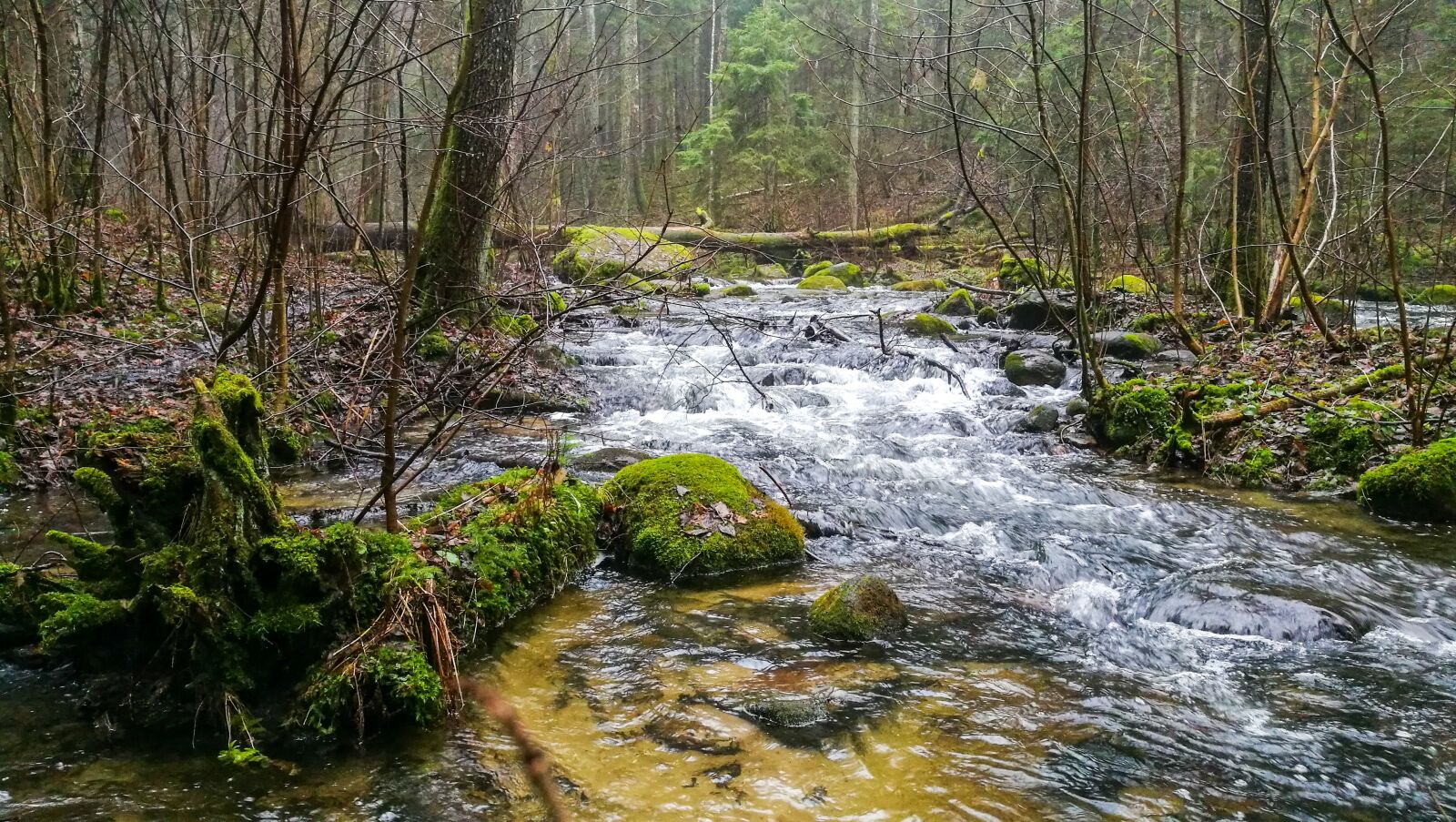 HUAWEI Honor 8 sample photo. Wild, river, green photography