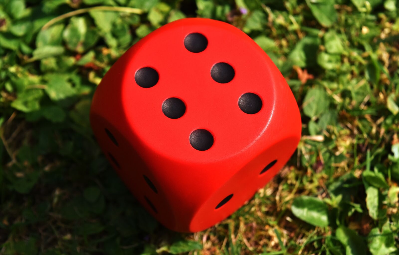 Nikon D7200 sample photo. Cube, play, red photography