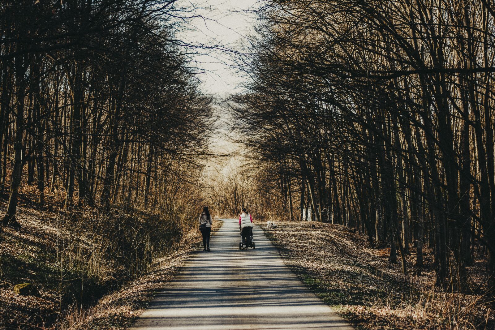 Nikon D5200 sample photo. Forest, nature, my mother photography