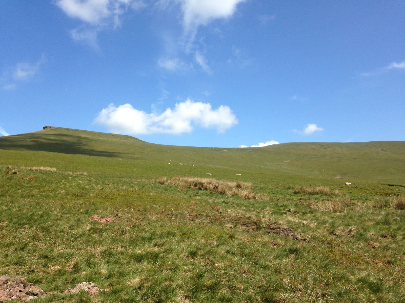 iPhone 5c back camera 4.12mm f/2.4 sample photo. Spring, mountain, blue photography