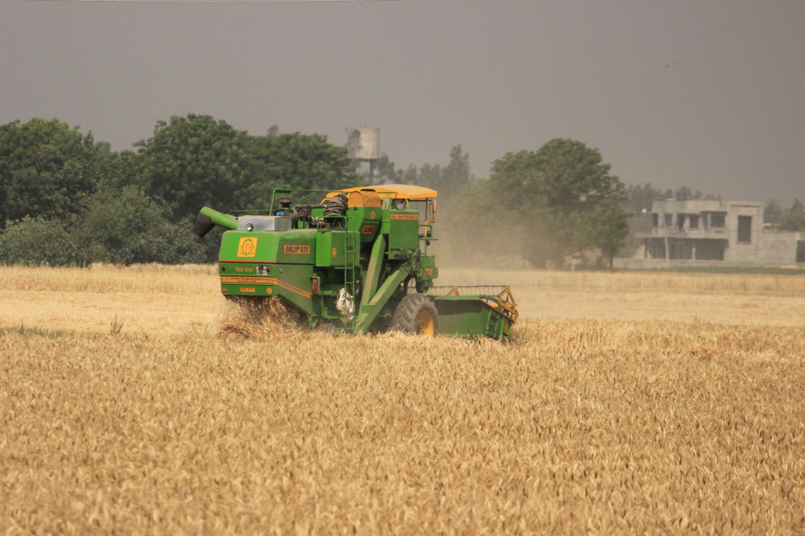 Canon EOS 600D (Rebel EOS T3i / EOS Kiss X5) sample photo. Nature, landscape, farm field photography