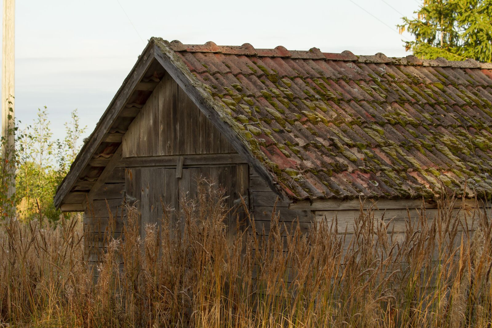 Canon EF 70-200mm F4L IS USM sample photo. Barn, roof, moss photography