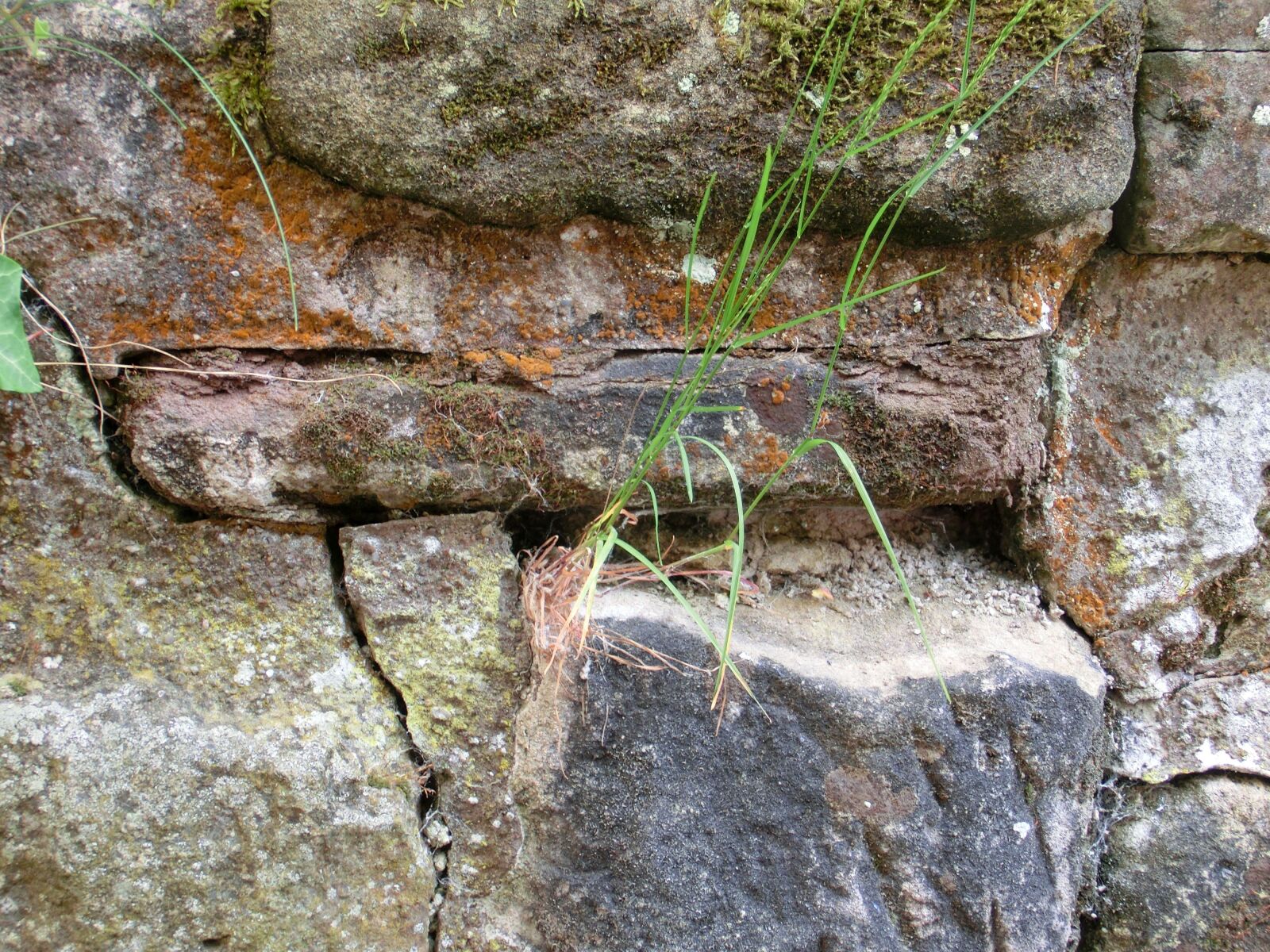 CASIO EX-ZR100 sample photo. Wall, stones, stone wall photography