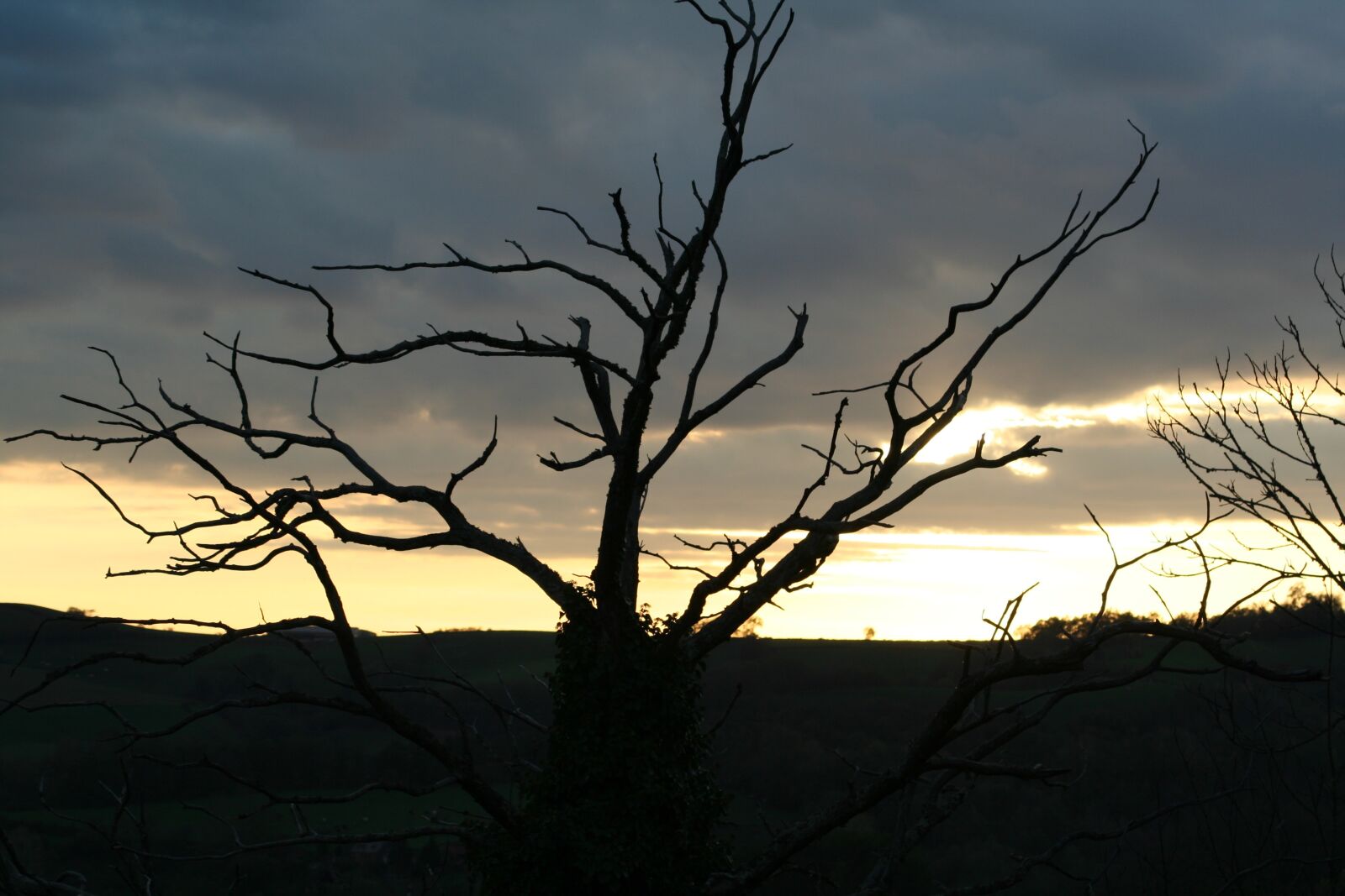 Canon EOS 350D (EOS Digital Rebel XT / EOS Kiss Digital N) sample photo. Sunset, tree, winter photography