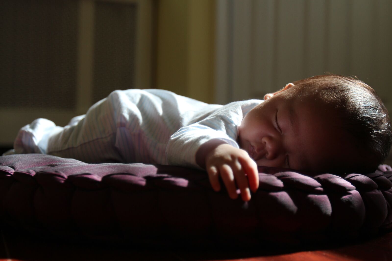 Canon EF 16-35mm F2.8L USM sample photo. Sleeping, sunset, nap photography