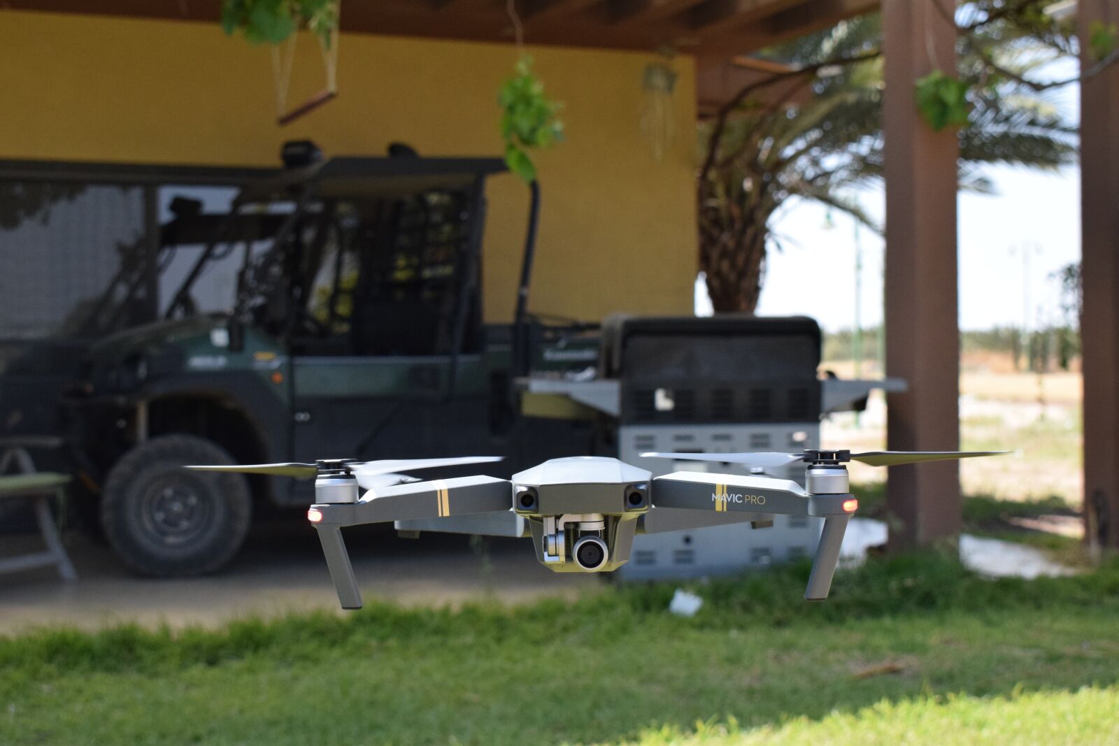 Nikon D3300 sample photo. Dji, drone, garden photography