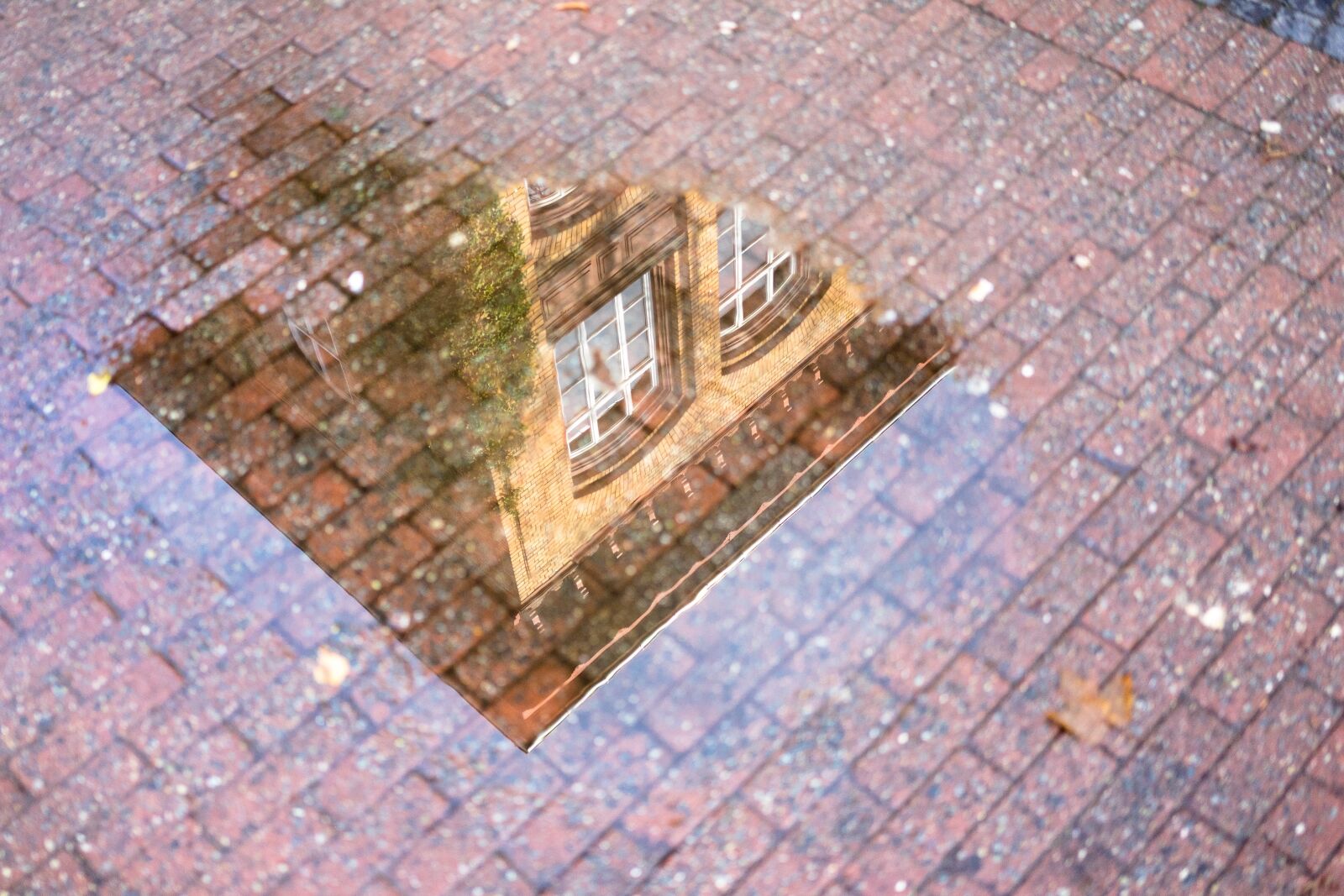 Sony a7 sample photo. Mirroring, puddle, building photography