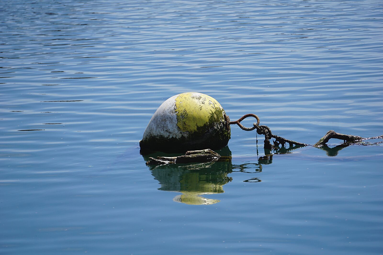Sony a6000 sample photo. Buoy, beacon, water photography