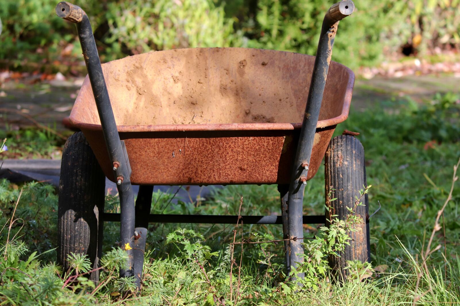 Canon EOS 200D (EOS Rebel SL2 / EOS Kiss X9) sample photo. Wheelbarrows, gardening, rusty photography