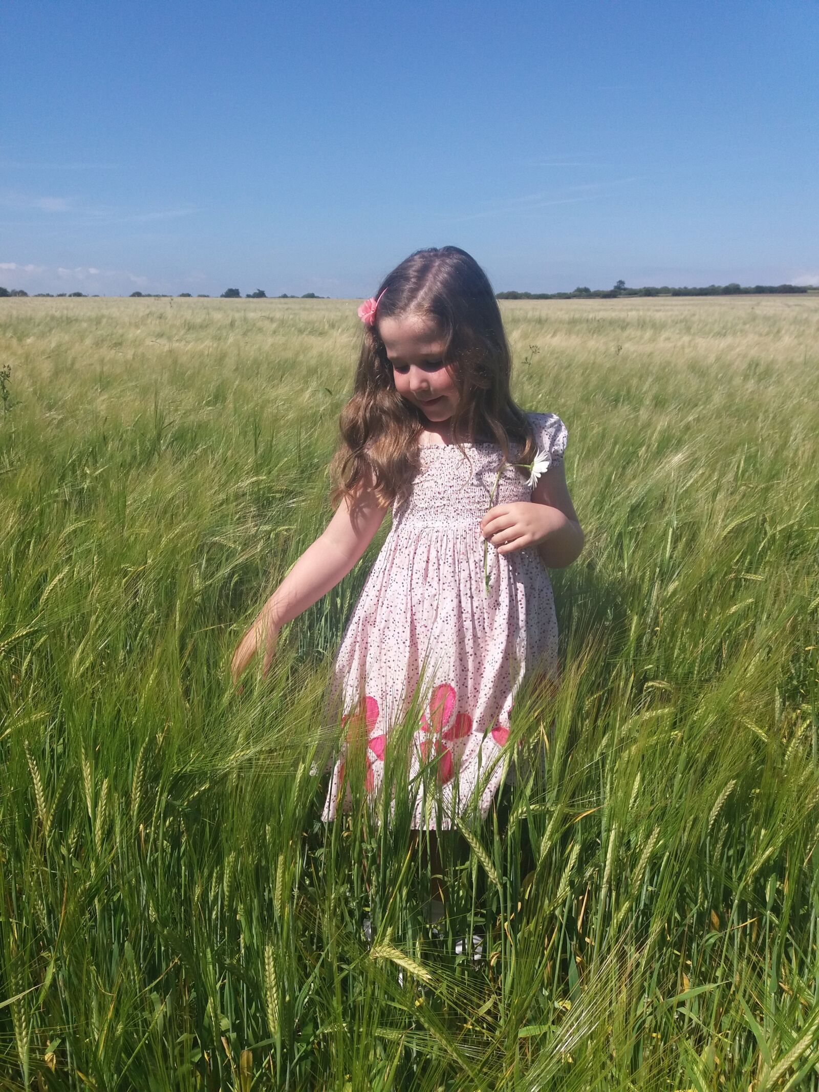 Samsung Galaxy J5(2016) sample photo. Young, girl, field photography