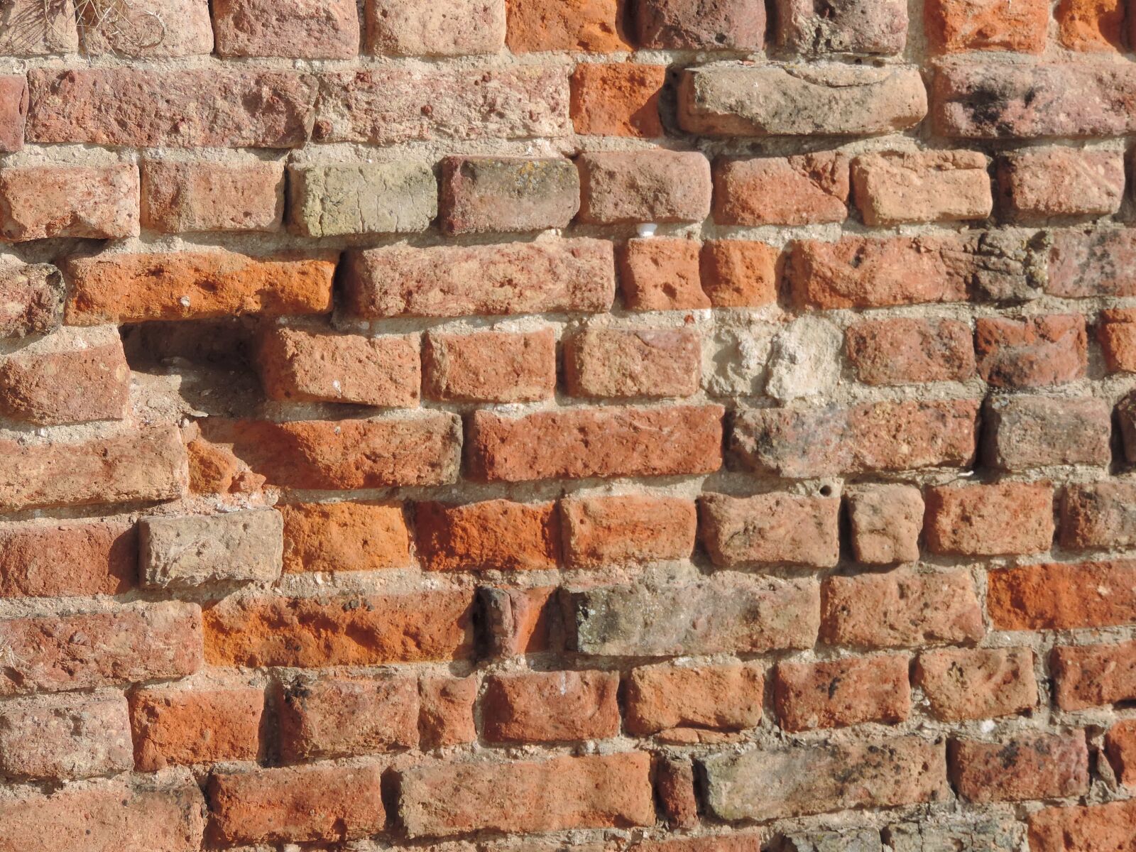 Nikon Coolpix P520 sample photo. Building, tile, brick, cement photography