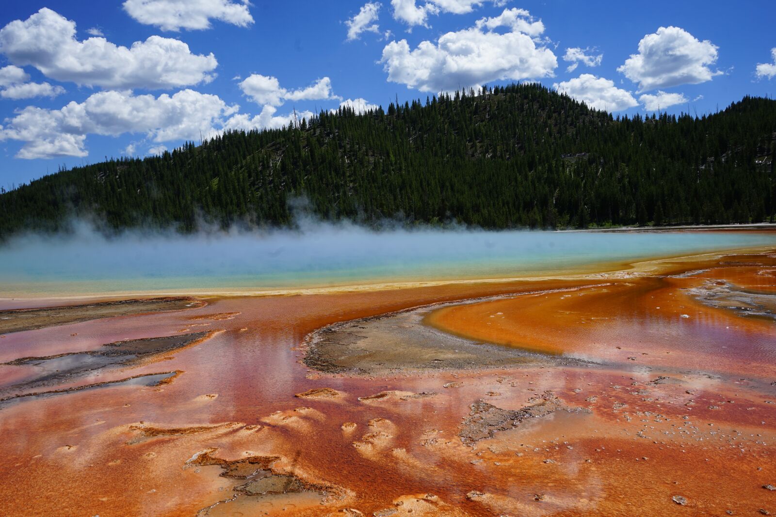 Sony a7 II + Sony FE 28-70mm F3.5-5.6 OSS sample photo. Yellowstone, nature, wyoming photography