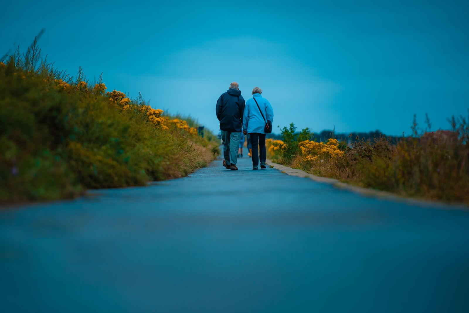 Nikon D750 sample photo. Adult, couple, walking photography