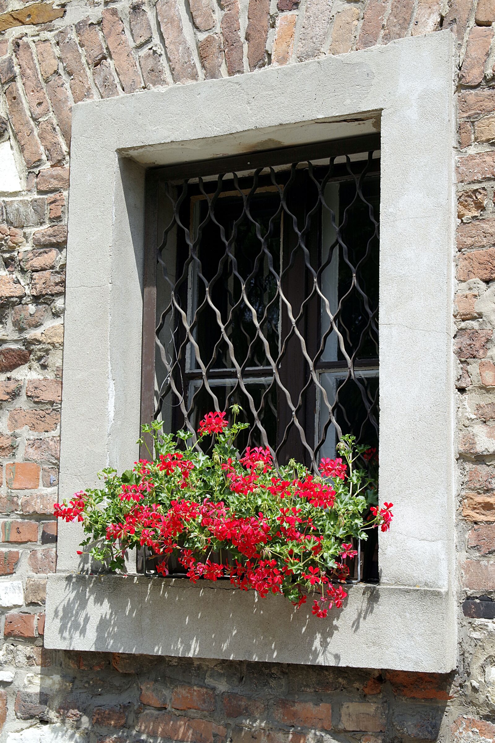 Pentax K-S2 sample photo. Window, trellis, geraniums photography