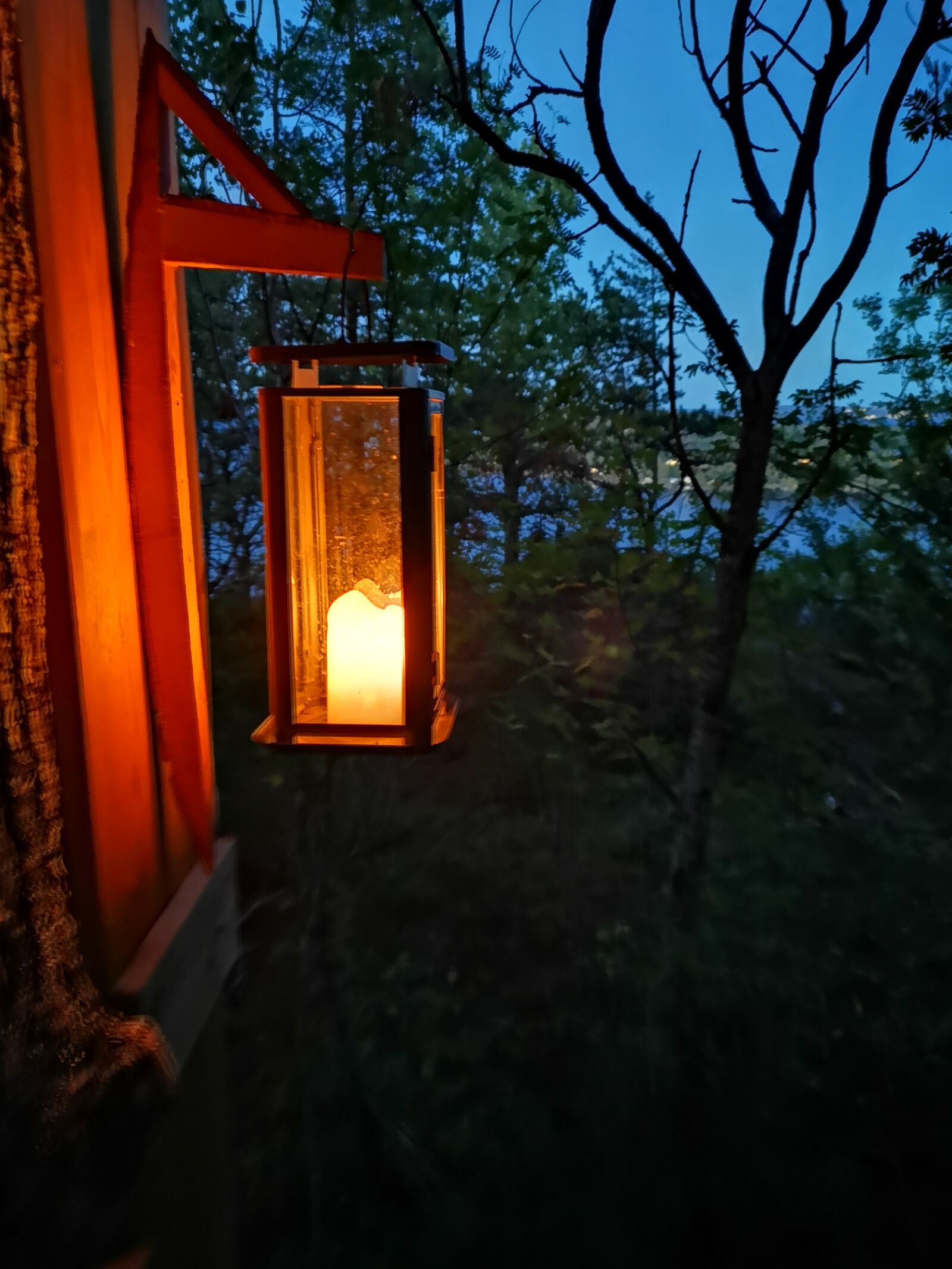 HUAWEI CLT-L29 sample photo. Candle, forest, tree photography