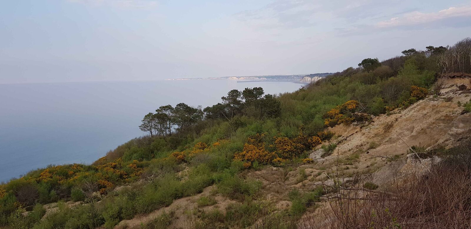 Samsung Galaxy S8 sample photo. Cliffs, normandy, broom photography
