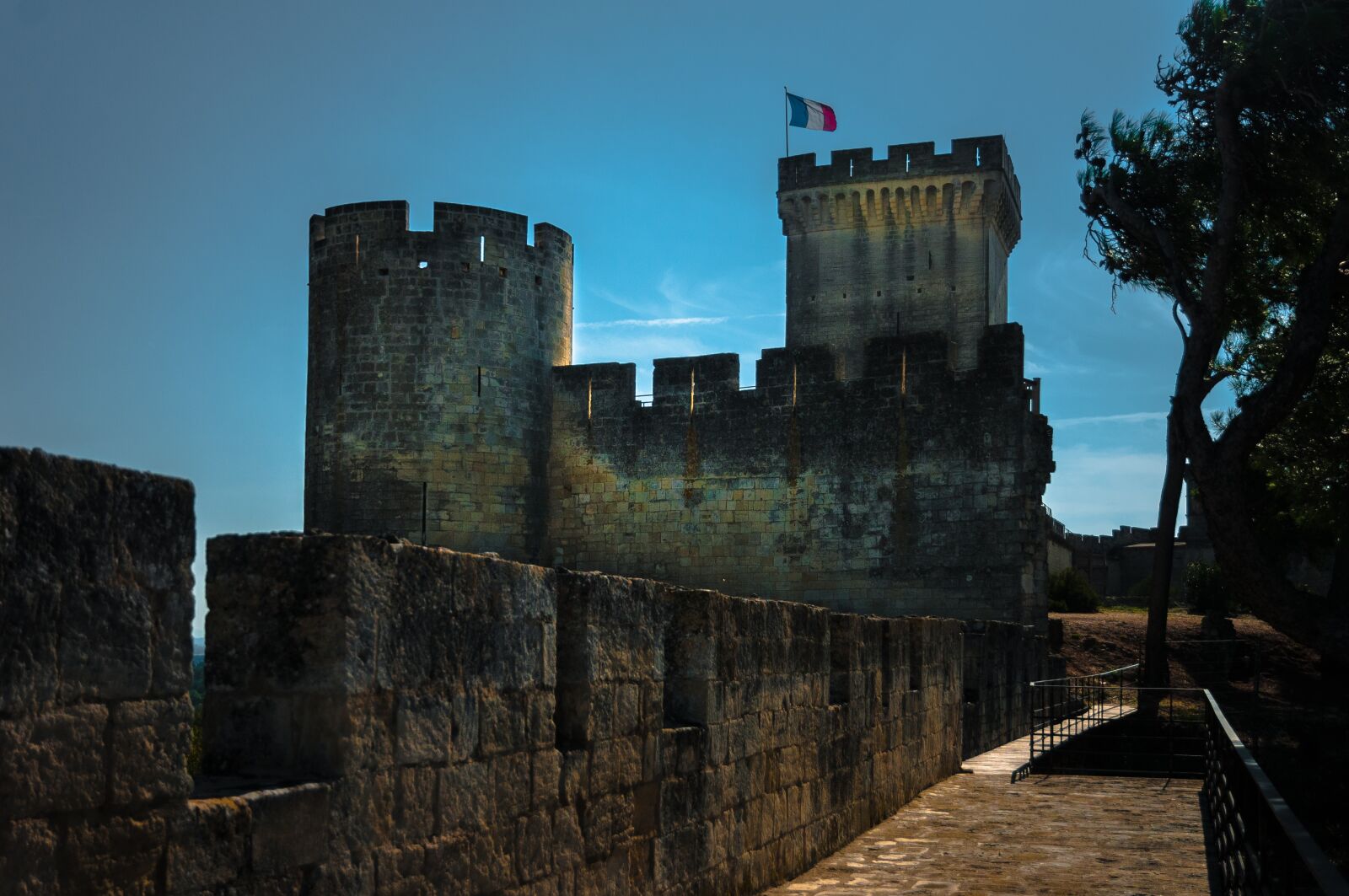 Nikon D300S sample photo. Castle, beaucaire, tower photography