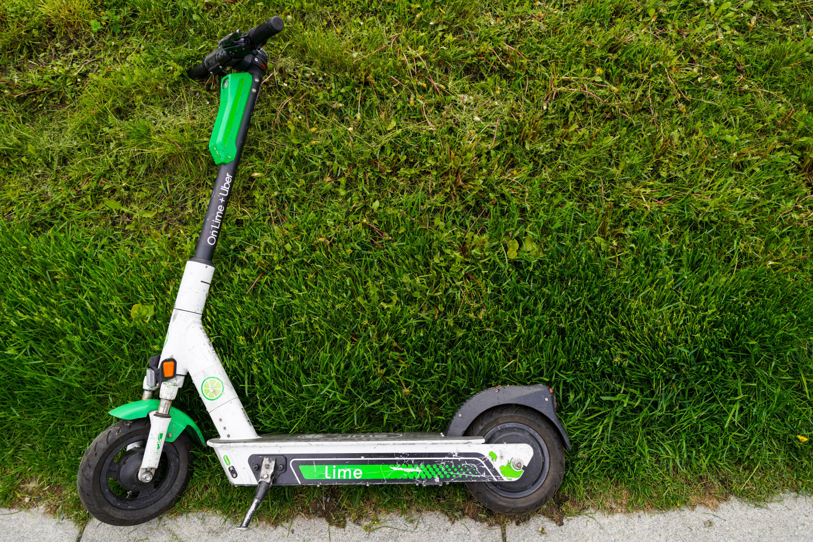 Sony a7R IV + Samyang AF 24mm F1.8 FE sample photo. Grass scooter photography