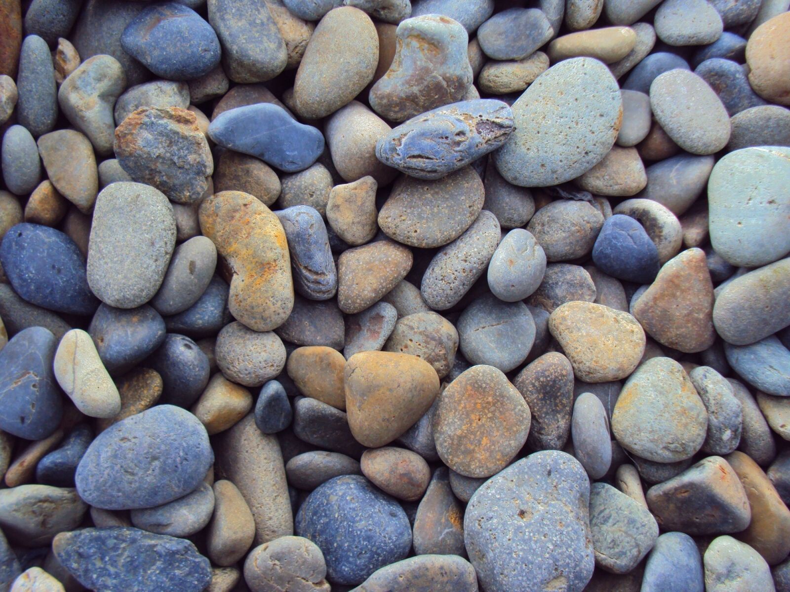 Sony DSC-W180 sample photo. Pebbles, stones, rocks photography