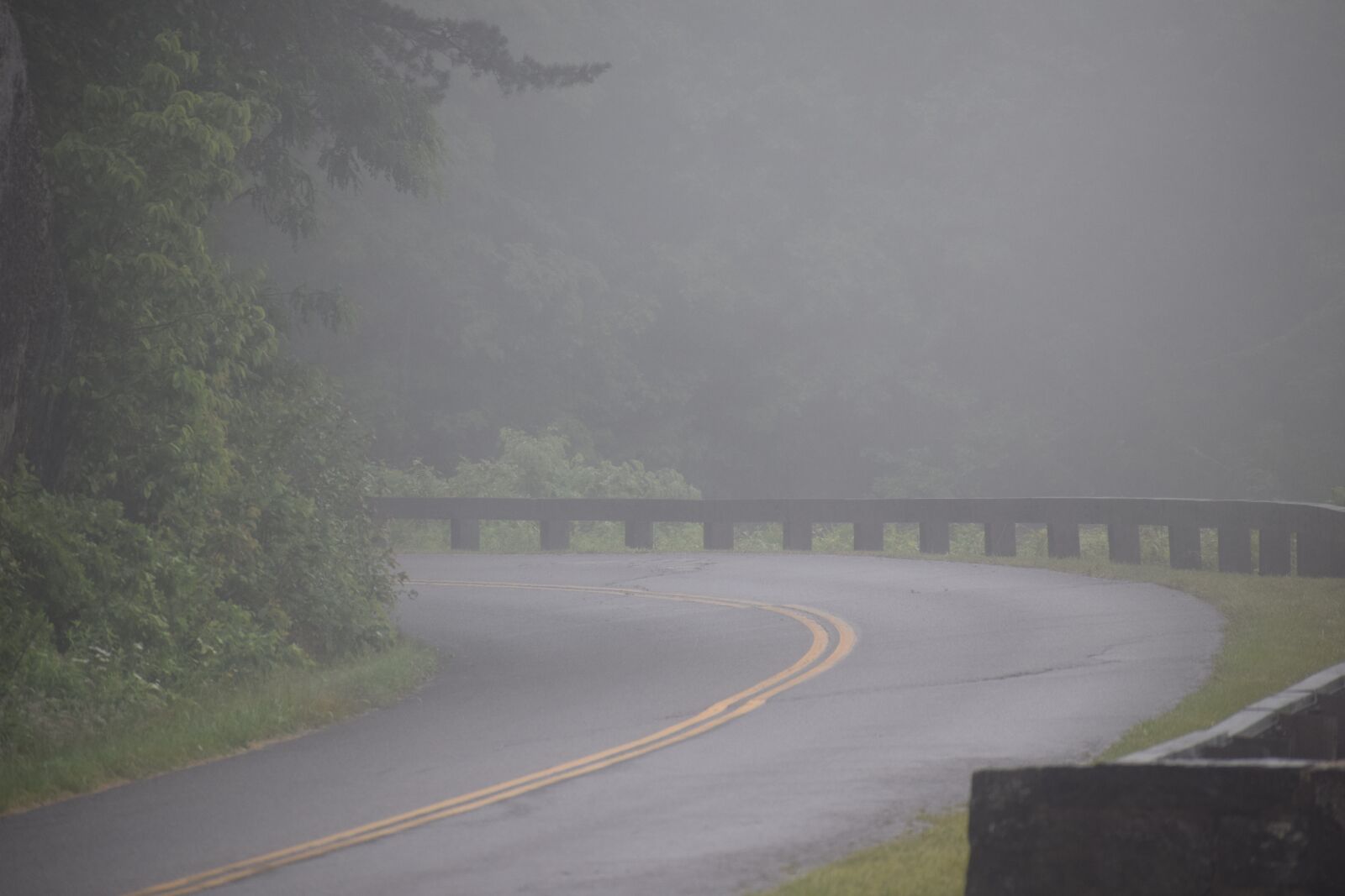 Nikon D3300 sample photo. Fog, cloud, rain photography