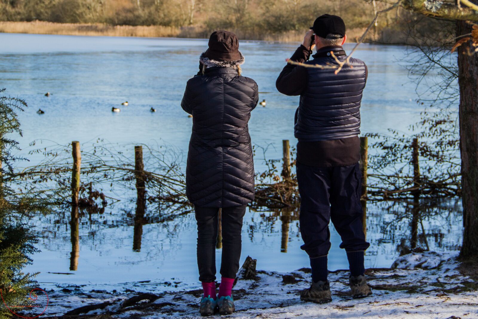 Canon EOS 7D sample photo. People, watching, twitcher photography