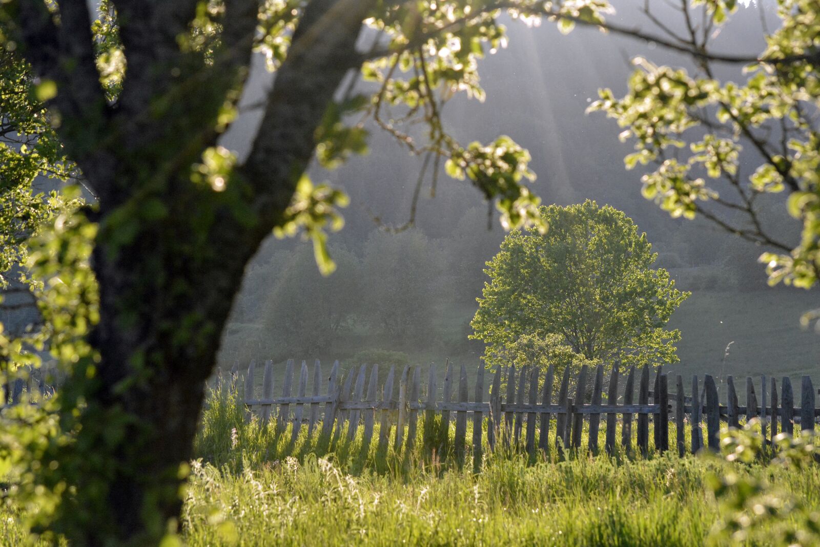 Nikon D5200 sample photo. Countryside, landscape, rural photography