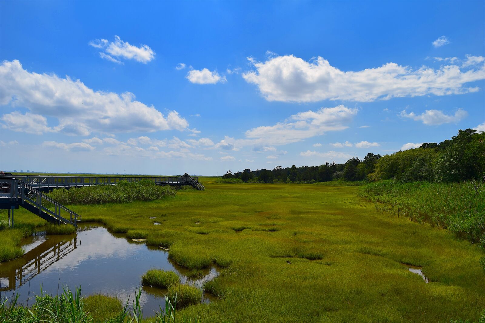 Nikon D3300 sample photo. Marsh, estuary, water photography