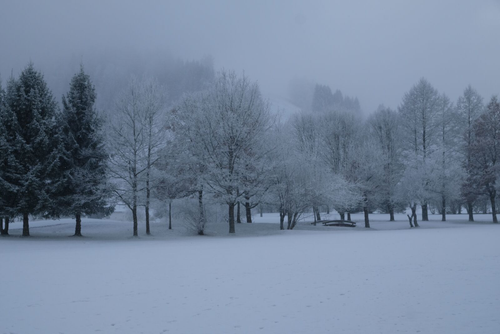 Fujifilm X-T20 sample photo. Winter, landscape, snow photography