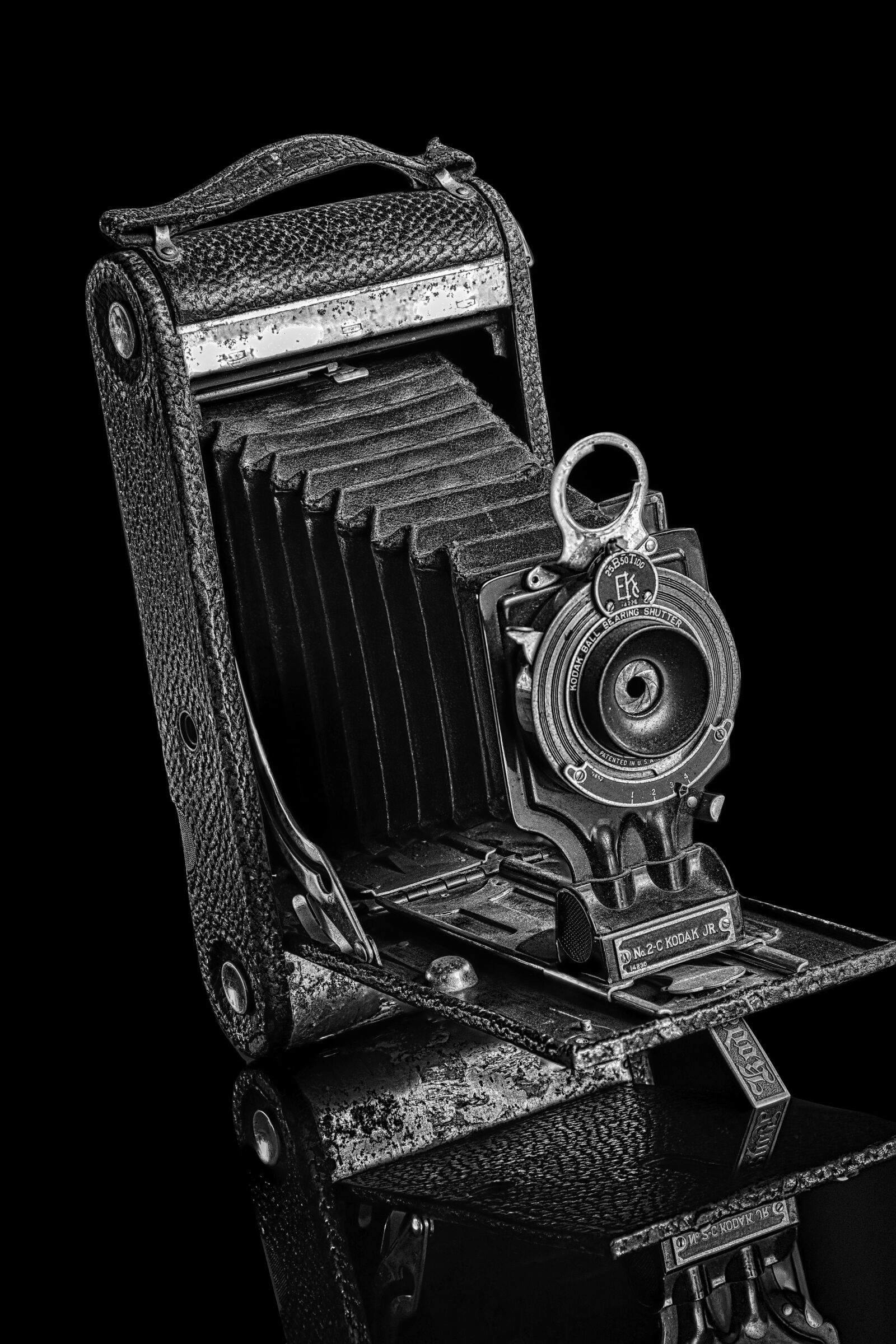 Nikon D500 sample photo. Camera, kodak, photography photography