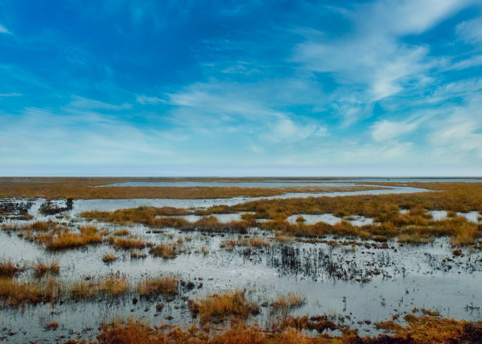 Nikon D3300 sample photo. Scenic, wetland, swamp photography