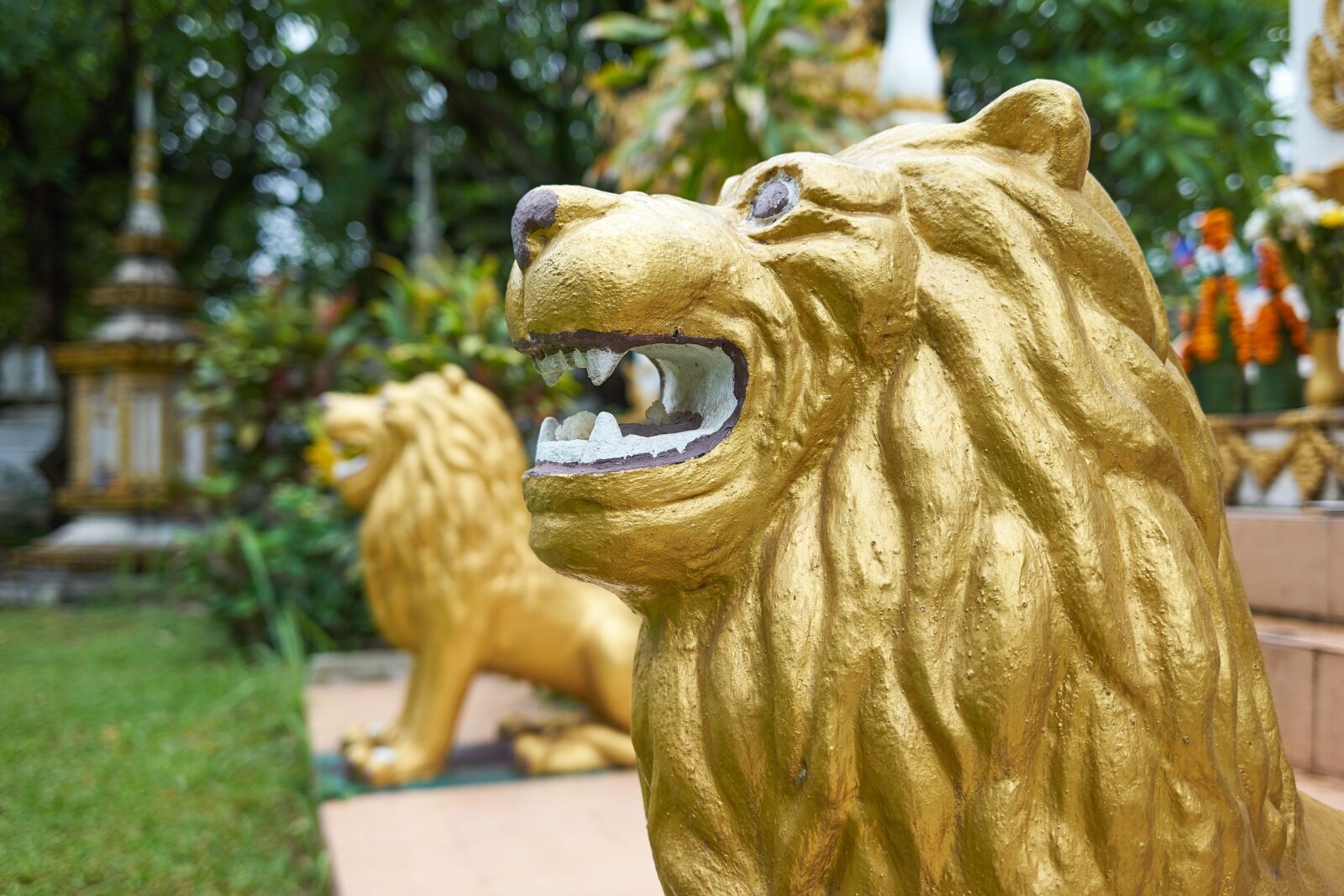 Sony a7 sample photo. Temple, laos, vientiane photography