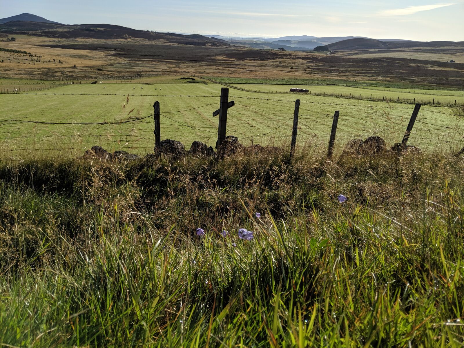 Google Pixel 3 sample photo. Scotland, highlands, countryside photography