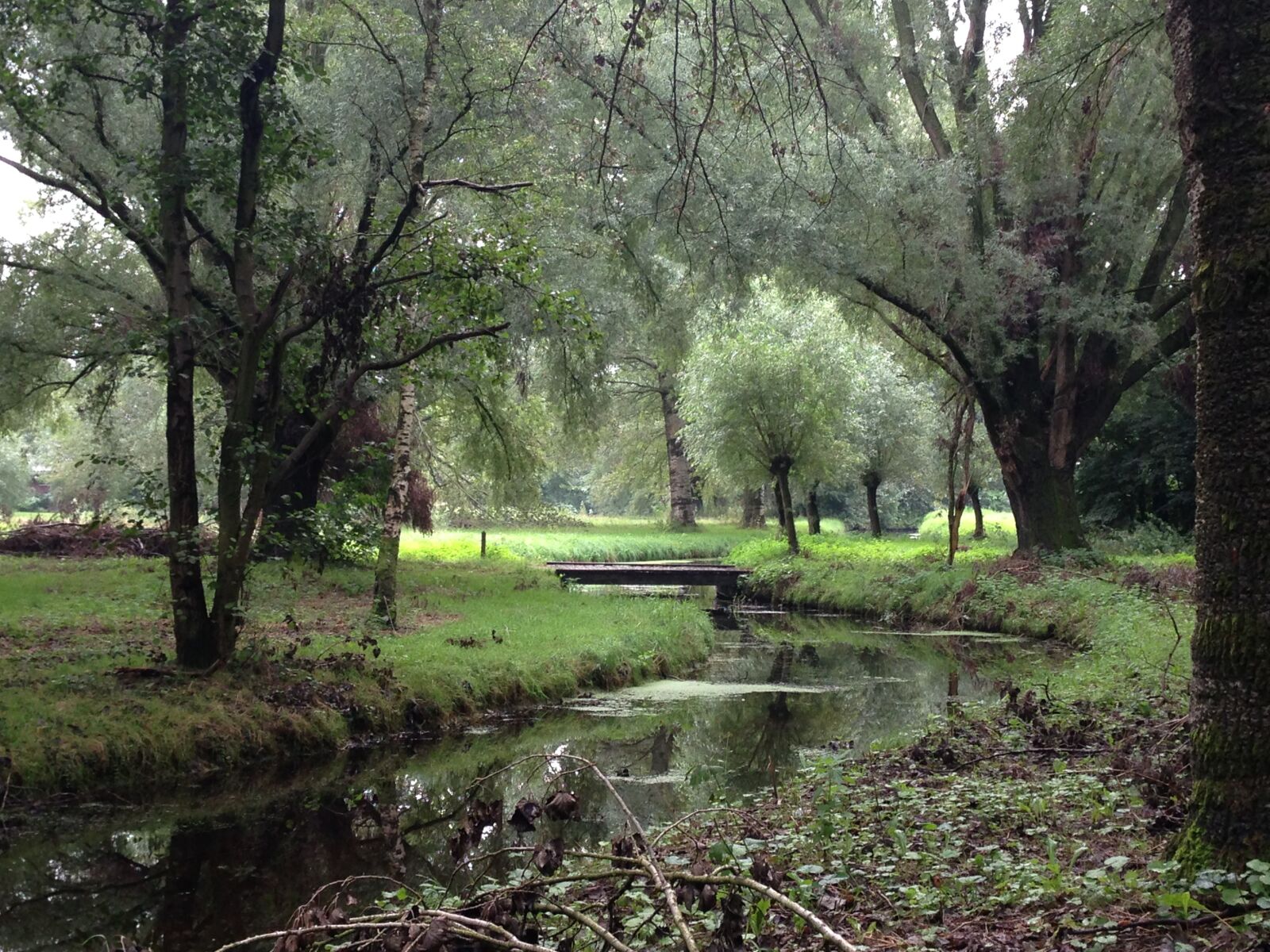 iPhone 5 back camera 4.12mm f/2.4 sample photo. Canal, in, woods photography