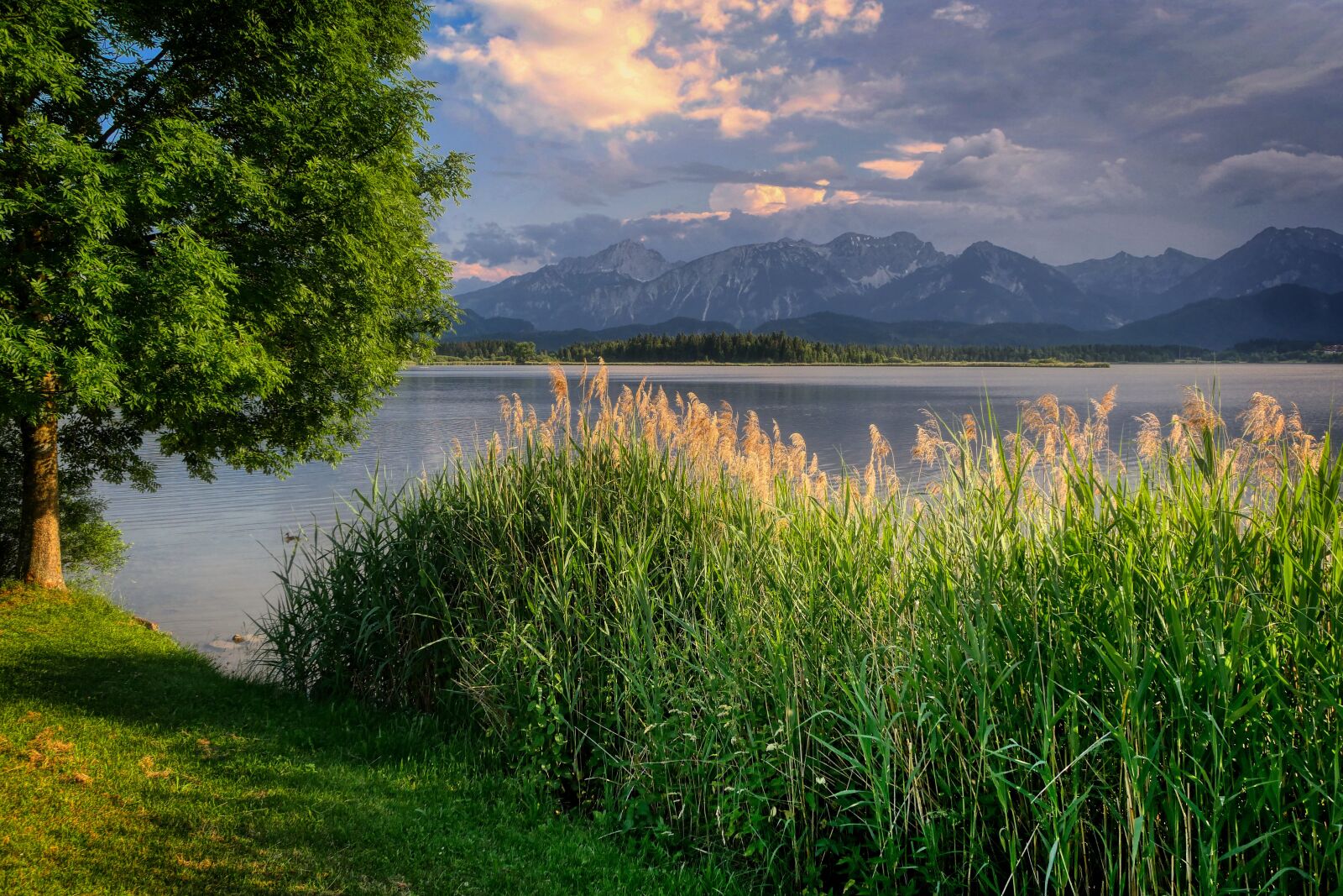 Panasonic Lumix DMC-GX8 sample photo. Lake, mountain, mountains photography