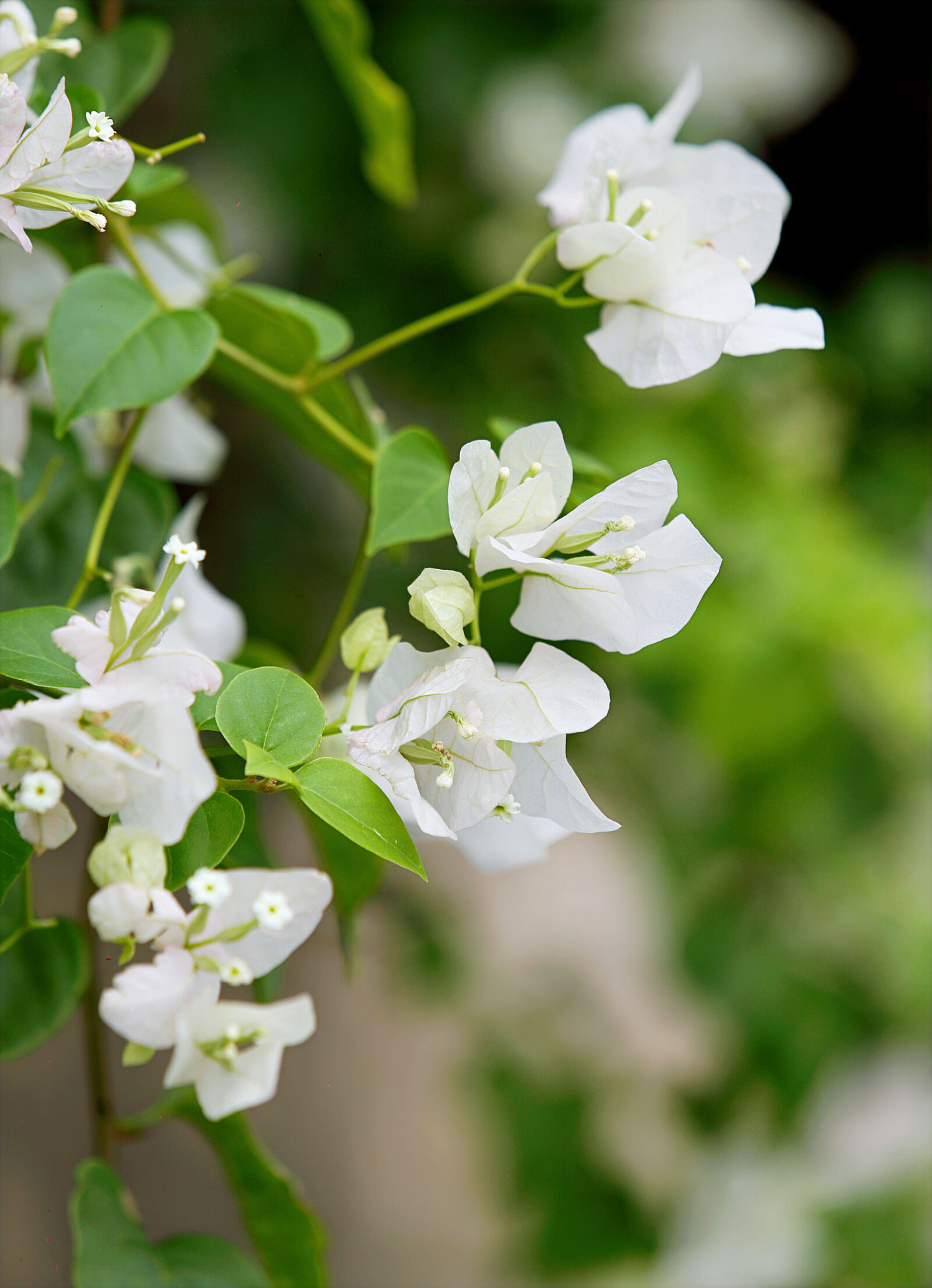 Canon EOS 6D sample photo